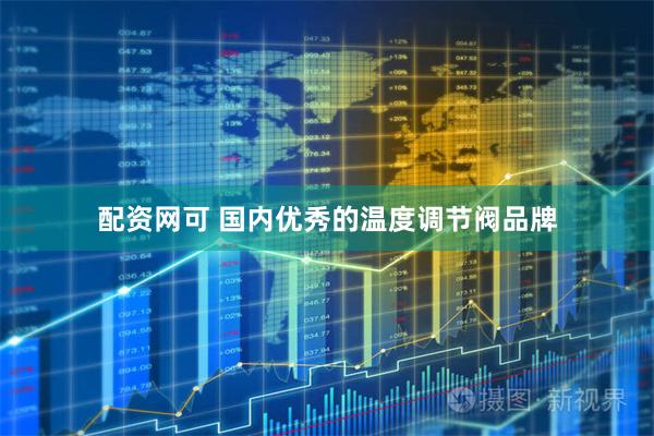 配资网可 国内优秀的温度调节阀品牌