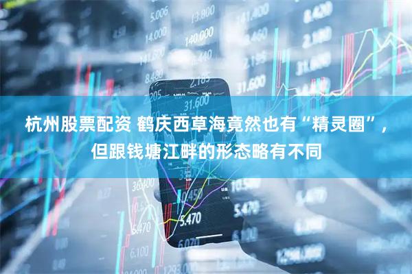 杭州股票配资 鹤庆西草海竟然也有“精灵圈”，但跟钱塘江畔的形态略有不同